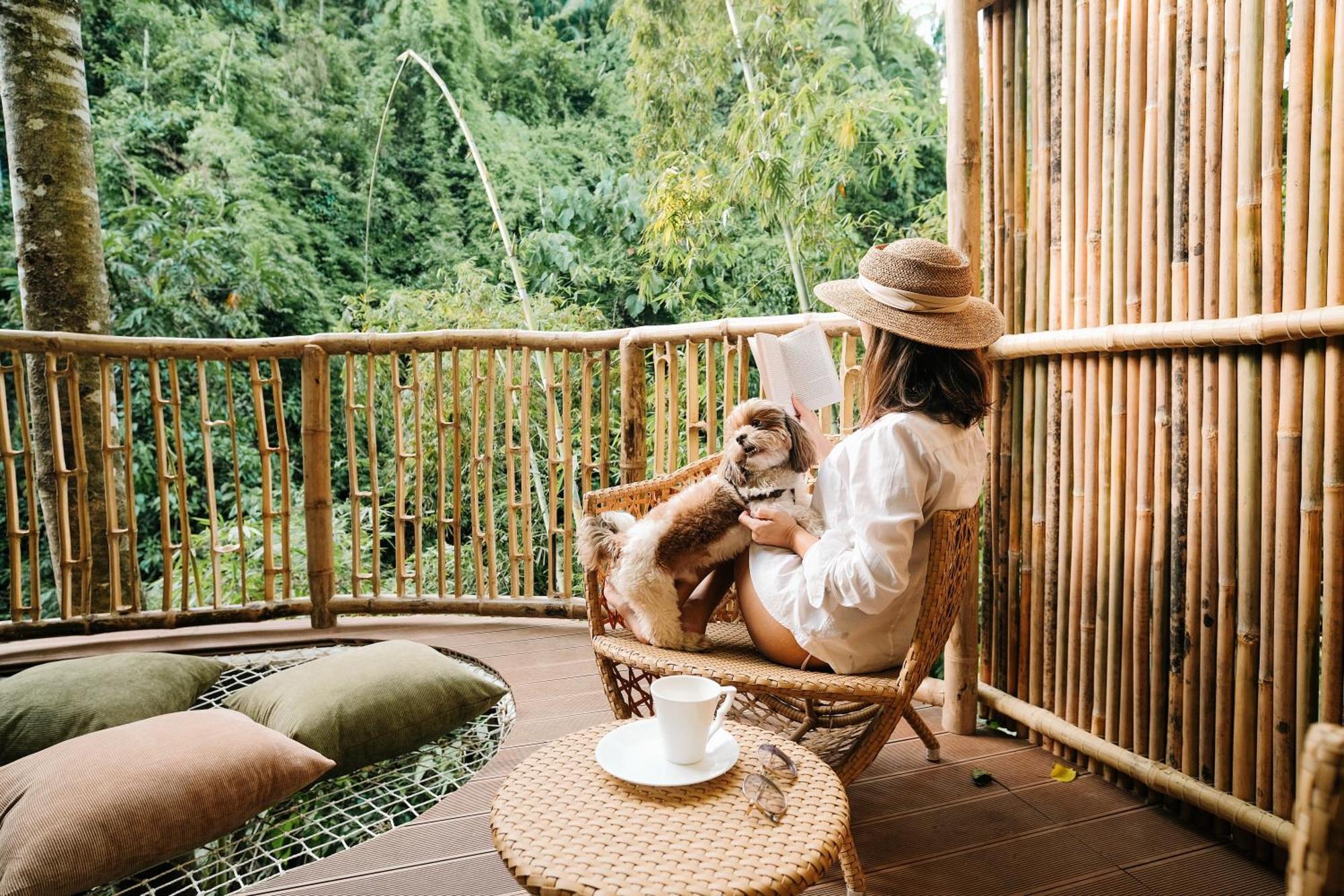 Treehouse De Valentine Villa Balamban Bagian luar foto